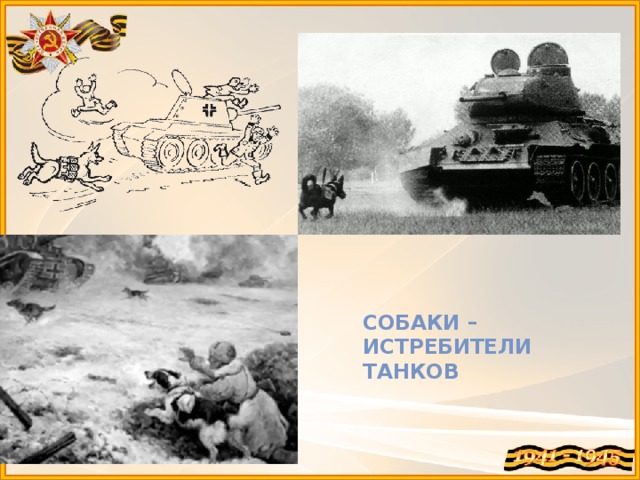 Собаки – истребители танков 