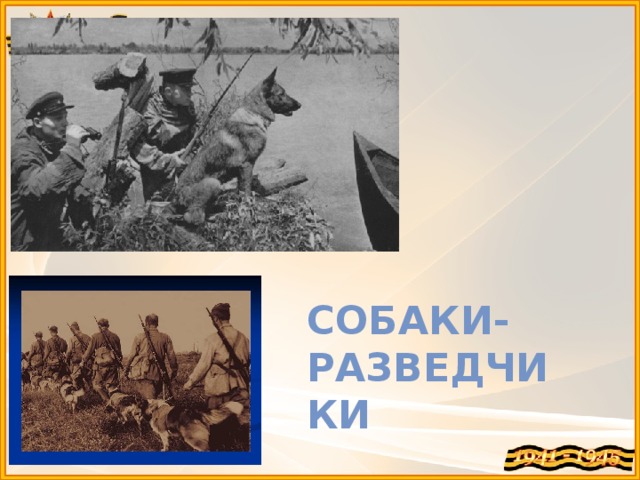 Собаки-разведчики 