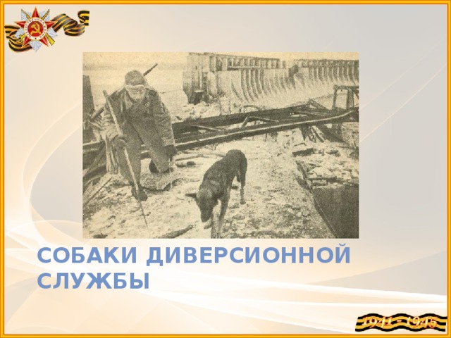 Собаки диверсионной службы 