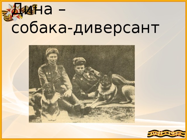 Дина –  собака-диверсант 
