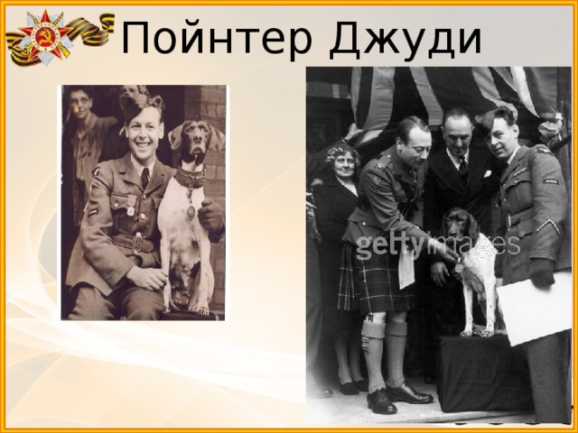 Пойнтер Джуди 
