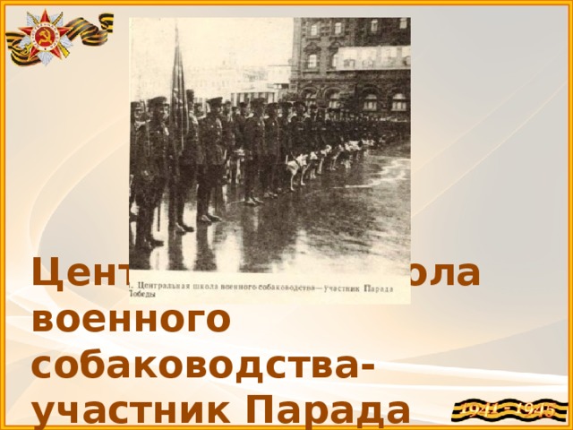 Центральная школа военного собаководства- участник Парада Победы 