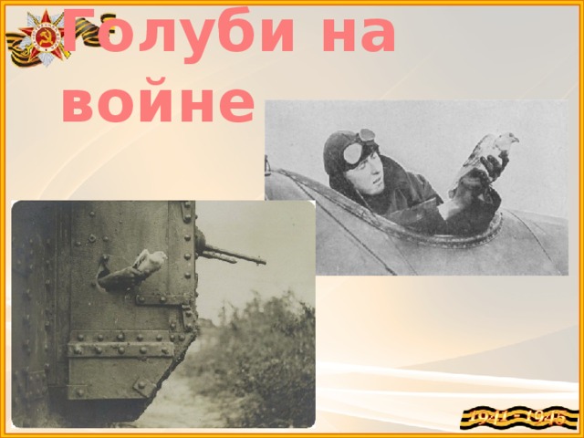 Голуби на войне 