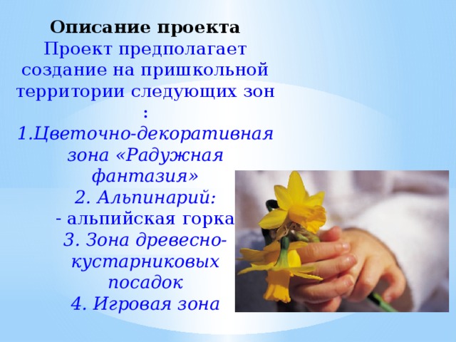 Описание проекта  Проект предполагает создание на пришкольной территории следующих зон :  1.Цветочно-декоративная зона «Радужная фантазия»  2. Альпинарий:  - альпийская горка  3. Зона древесно-кустарниковых посадок  4. Игровая зона    