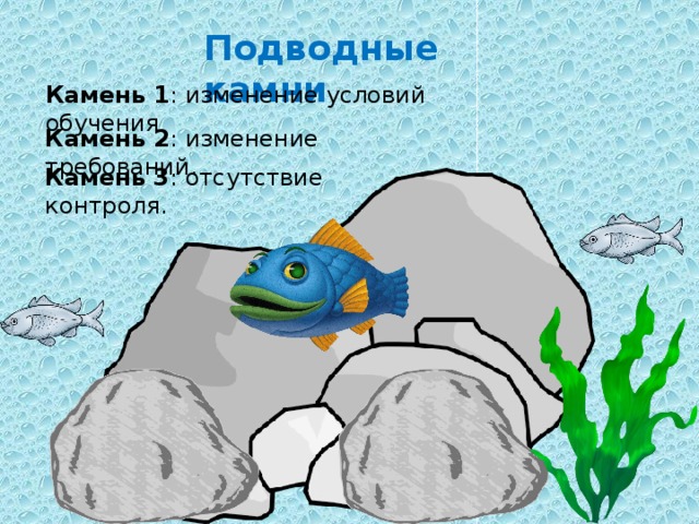 Подводные камни Камень 1 : изменение условий обучения Камень 2 : изменение требований. Камень 3 : отсутствие контроля. 