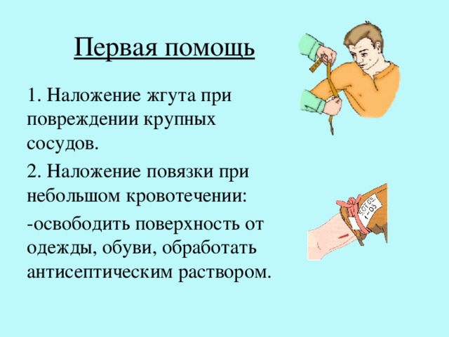 Первая помощь 1. Наложение жгута при повреждении крупных сосудов. 2. Наложение повязки при небольшом кровотечении: -освободить поверхность от одежды, обуви, обработать антисептическим раствором. 