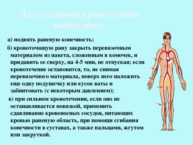 Для остановки кровотечения необходимо:  а) поднять раненую конечность;  б) кровоточащую рану закрыть перевязочным материалом из пакета, сложенным в комочек, и придавить ее сверху, на 4-5 мин, не отпуская; если кровотечение остановится, то, не снимая перевязочного материала, поверх него наложить еще одну подушечку или кусок ваты и забинтовать (с некоторым давлением);  в) при сильном кровотечении, если оно не останавливается повязкой, применить сдавливание кровеносных сосудов, питающих кровью раненую область, при помощи сгибания конечности в суставах, а также пальцами, жгутом или закруткой. 