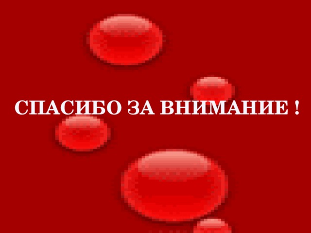 СПАСИБО ЗА ВНИМАНИЕ ! 