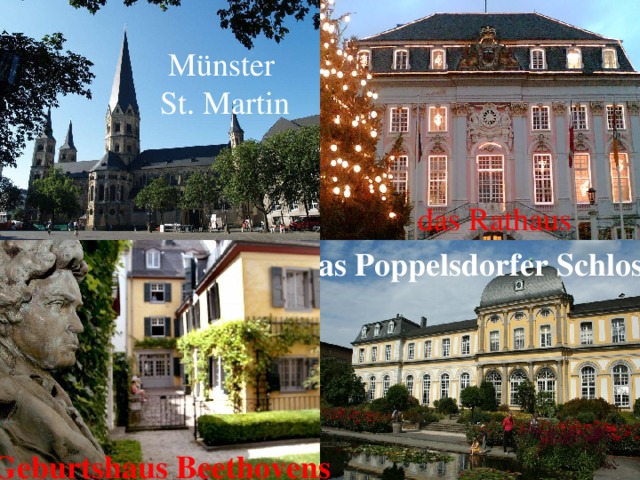 Münster St. Martin das Rathaus das Poppelsdorfer Schloss  Geburtshaus Beethovens 