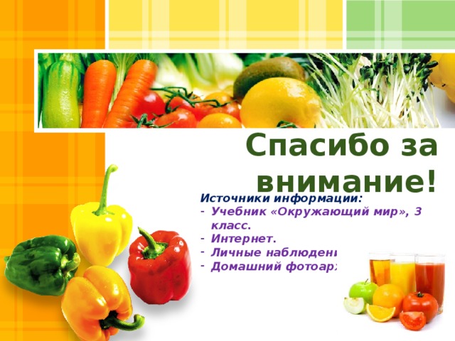 Спасибо за внимание! Источники информации: Учебник «Окружающий мир», 3 класс. Интернет. Личные наблюдения. Домашний фотоархив.