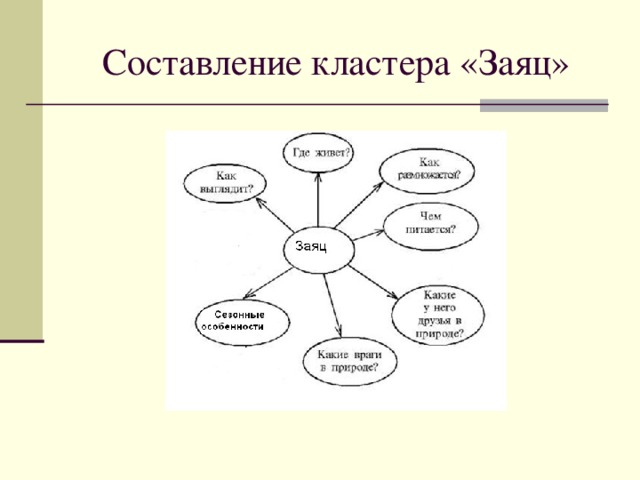 Составление кластера «Заяц» 