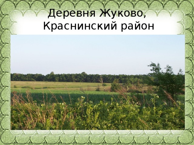 Деревня Жуково,  Краснинский район 