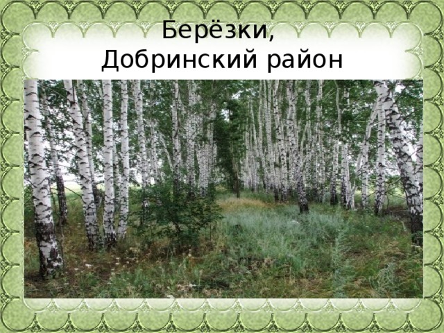 Берёзки,  Добринский район 