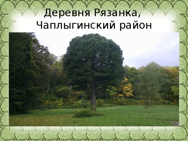 Деревня Рязанка,  Чаплыгинский район 