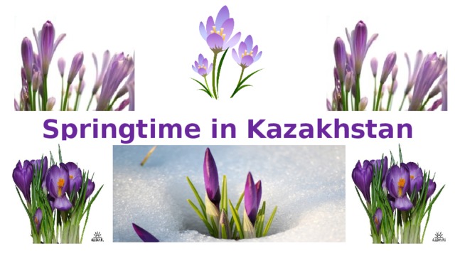 Springtime  in Kazakhstan 