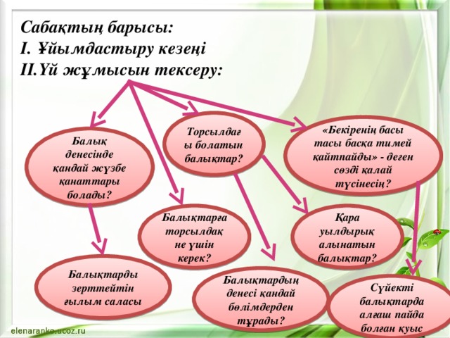 Сабақтың барысы: Ұйымдастыру кезеңі Үй жұмысын тексеру:   Торсылдағы болатын балықтар? «Бекіренің басы тасы басқа тимей қайтпайды» - деген сөзді қалай түсінесің? Балық денесінде қандай жүзбе қанаттары болады? Балықтарға торсылдақ не үшін керек? Қара уылдырық алынатын балықтар? Балықтарды зерттейтін ғылым саласы Балықтардың денесі қандай бөлімдерден тұрады? Сүйекті балықтарда алғаш пайда болған қуыс 