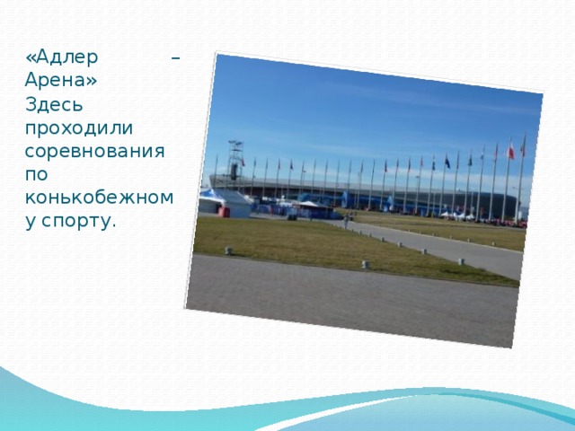 «Адлер – Арена» Здесь проходили соревнования по конькобежному спорту. 