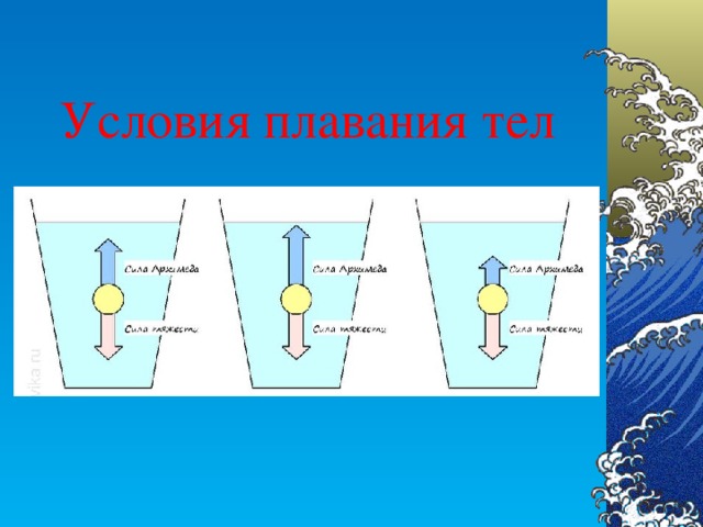 Условия плавания тел