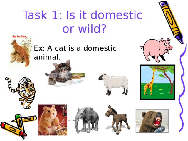 Task 1 : Is it domestic  or wild? Ex: A cat is a domestic animal. 