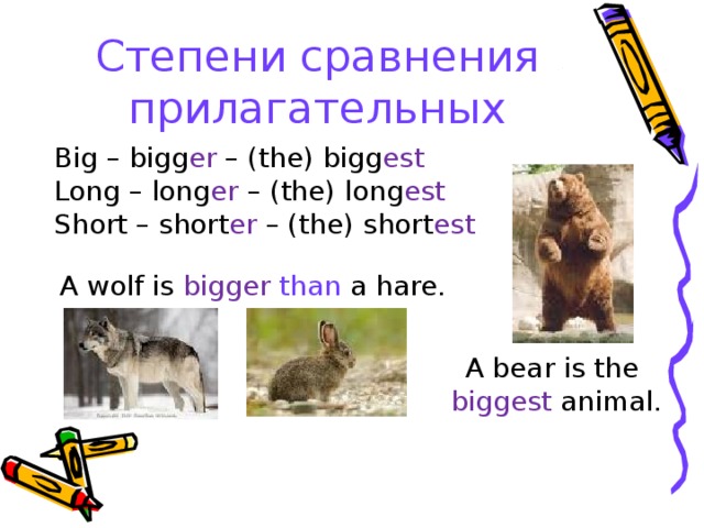Степени сравнения прилагательных Big – bigg er – (the) bigg est Long – long er – (the) long est Short –  short er – (the)  short est A wolf is bigger  than a hare. A bear is the  biggest  animal. 