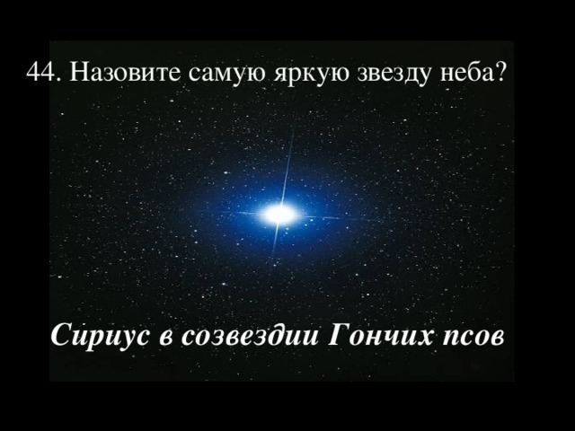  44. Назовите самую яркую звезду неба? Сириус в созвездии Гончих псов 