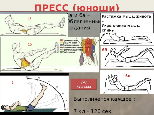 ПРЕСС (юноши) 1а и 6а – Облегченные  задания Растяжка мышц живота – Укрепление мышц спины. 6а 6б 6в 7-8 классы Выполняется каждое : 7 кл – 120 сек; 8 кл – 150 сек. 