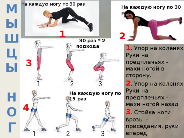 На каждую ногу по 30 раз М  ы  ш  ц  ы   н  о  г На каждую ногу по 30 раз 1 2  30 раз * 2 подхода 1 . Упор на коленях, Руки на предплечьях - махи ногой в сторону. 2 . Упор на коленях, Руки на предплечьях - махи ногой назад 3 . Стойка ноги врозь - приседания, руки вперед 4 .о.с.- руки вперед, шагом вперед, приседание на двух руки на колено. 3 На каждую ногу по 15 раз 4 