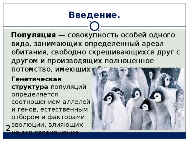 Введение. Популяция  — совокупность особей одного вида, занимающих определенный ареал обитания, свободно скрещивающихся друг с другом и производящих полноценное потомство, имеющих общее происхождение. Генетическая структура популяций определяется соотношением аллелей и генов, естественным отбором и факторами эволюции, влияющих на это соотношение. 2  