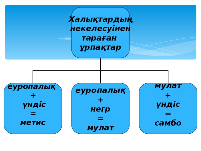 Халықтардың  некелесуінен тараған ұрпақтар еуропалық +  үндіс = метис  еуропалық + негр = мулат мулат + үндіс = самбо  
