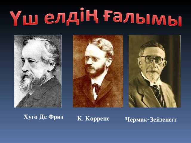 Хуго Де Фриз К . Корренс Чермак‑Зейзенегг  
