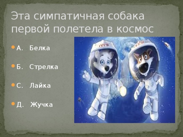 Эта симпатичная собака первой полетела в космос А. Белка Б. Стрелка С. Лайка Д. Жучка 