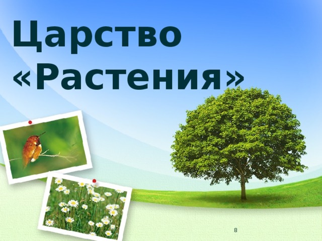 Царство «Растения»  