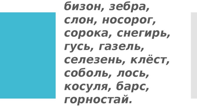 бизон, зебра, слон, носорог, сорока, снегирь, гусь, газель, селезень, клёст, соболь, лось, косуля, барс, горностай.
