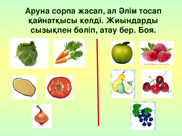 Аруна сорпа жасап, ал Әлім тосап қайнатқысы келді. Жиындарды сызықпен бөліп, атау бер. Боя. 