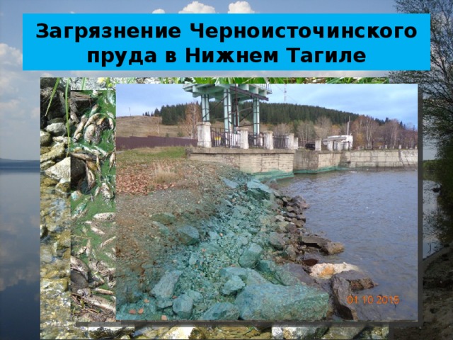 Загрязнение Черноисточинского пруда в Нижнем Тагиле 