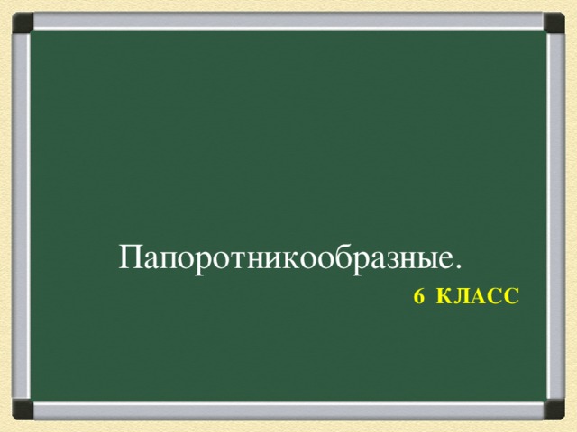 Папоротникообразные. 6 КЛАСС 