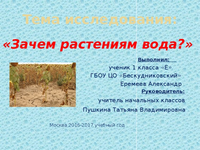 Тема исследования: «Зачем растениям вода?»   Выполнил:  ученик 1 класса «Е»  ГБОУ ЦО «Бескудниковский»  Еремеев Александр  Руководитель:   учитель начальных классов  Пушкина Татьяна Владимировна  Москва 2016-2017 учебный год