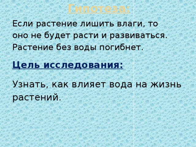 Гипотеза: Если растение лишить влаги, то оно не будет расти и развиваться. Растение без воды погибнет.  Цель исследования:  Узнать, как влияет вода на жизнь растений.