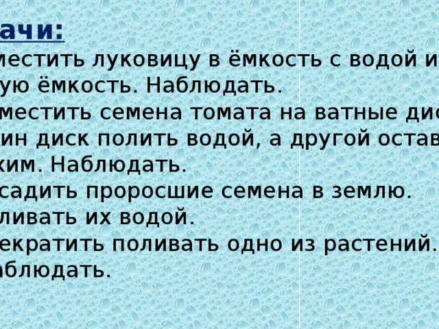 Задачи: Поместить луковицу в ёмкость с водой и  пустую ёмкость. Наблюдать. 2. Поместить семена томата на ватные диски.  Один диск полить водой, а другой оставить  сухим. Наблюдать. 3. Посадить проросшие семена в землю.  Поливать их водой. 4. Прекратить поливать одно из растений.  Наблюдать.