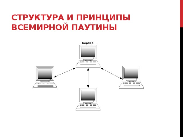 Структура и принципы Всемирной паутины 