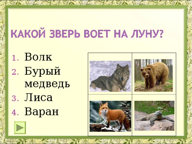 Волк Бурый медведь Лиса Варан 