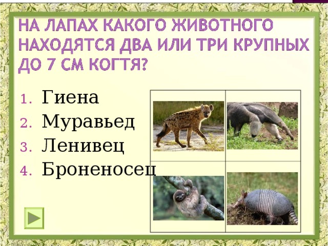 Гиена Муравьед Ленивец Броненосец 