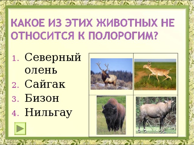 Северный олень Сайгак Бизон Нильгау 