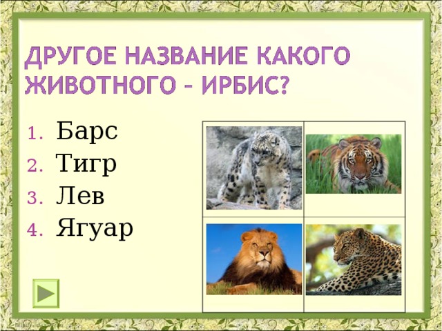 Барс Тигр Лев Ягуар 
