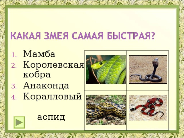 Мамба Королевская кобра Анаконда Коралловый  аспид 