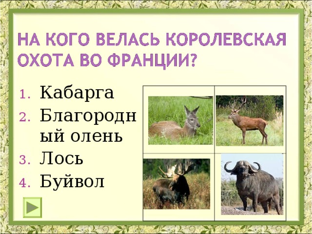 Кабарга Благородный олень Лось Буйвол 
