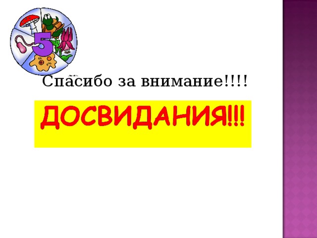 Спасибо за внимание!!!! 