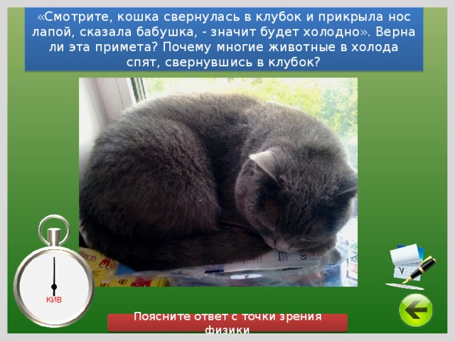 «Смотрите, кошка свернулась в клубок и прикрыла нос лапой, сказала бабушка, - значит будет холодно». Верна ли эта примета? Почему многие животные в холода спят, свернувшись в клубок? КИВ Поясните ответ с точки зрения физики 