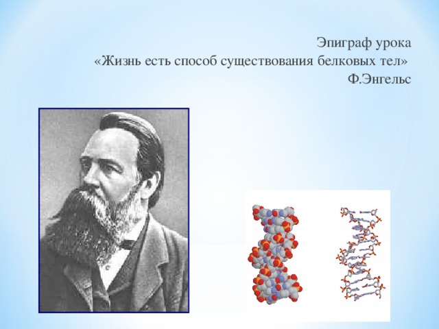 Эпиграф урока «Жизнь есть способ существования белковых тел» Ф.Энгельс 