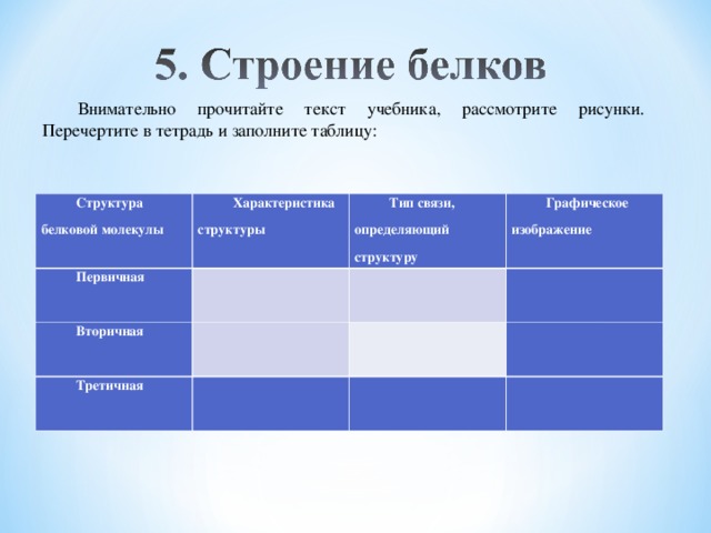 Внимательно прочитайте текст учебника, рассмотрите рисунки. Перечертите в тетрадь и заполните таблицу: Структура белковой молекулы Характеристика структуры Первичная   Тип связи, определяющий структуру Вторичная Графическое изображение     Третичная             